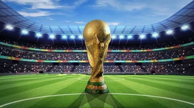 热刺旧将：弗兰克应该弃用门将维卡里奥，他实在过于平庸